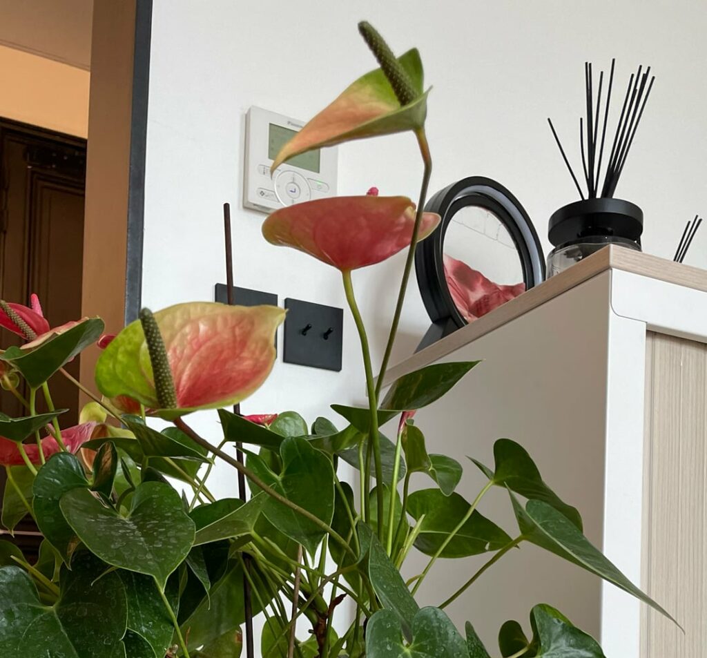 Les bureaux de GID SAS, place d’Estienne d’Orves à Paris 9e